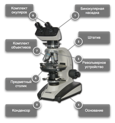 Обозначения микроскопа